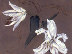 white flowers