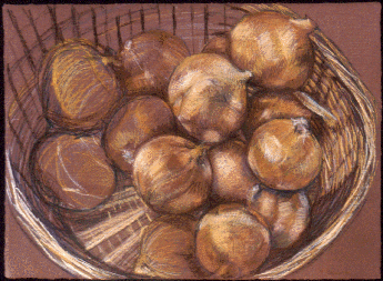 Onions, Pastel on Paper