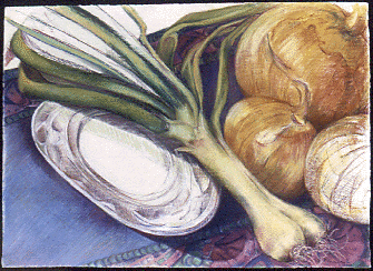 Onions, Pastel on Paper