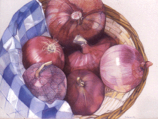 Onions - Color pencil on paper