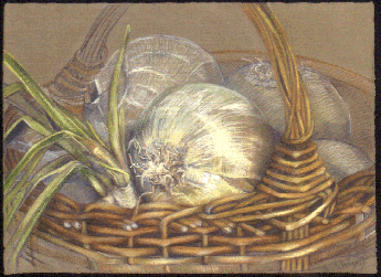 Onions - Color pastel on paper